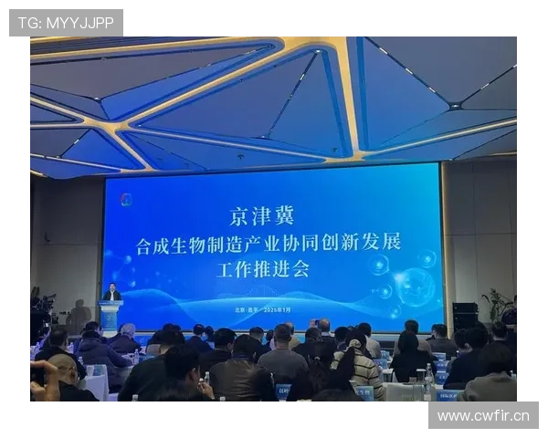 惠安企业家引领创新发展打造产业新高地助力地方经济腾飞
